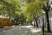 Tirana - Flanieren auf der grünen Rruga Murat Toptani