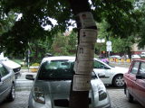 Vorschaubild dscf10256_Smederevo_Todesanzeigen_an_Baum.jpg 