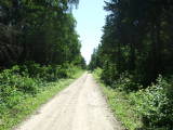 Vorschaubild dscf038718_Dirtroad_Wald_OSM.jpg 