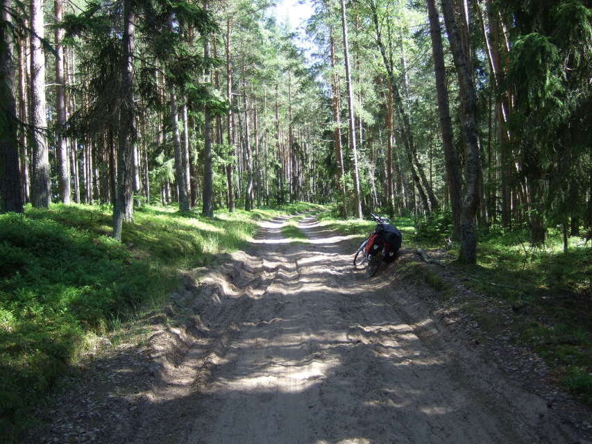 Skaliertes Bild dscf038878_Spurrinnen_im_sandigen_Waldweg_OSM_tertiary_track.jpg 