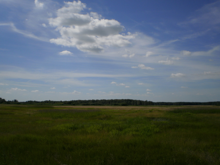 Skaliertes Bild p7090053_Landschaft_Wolken_Wald__Weide_OSM.jpg 