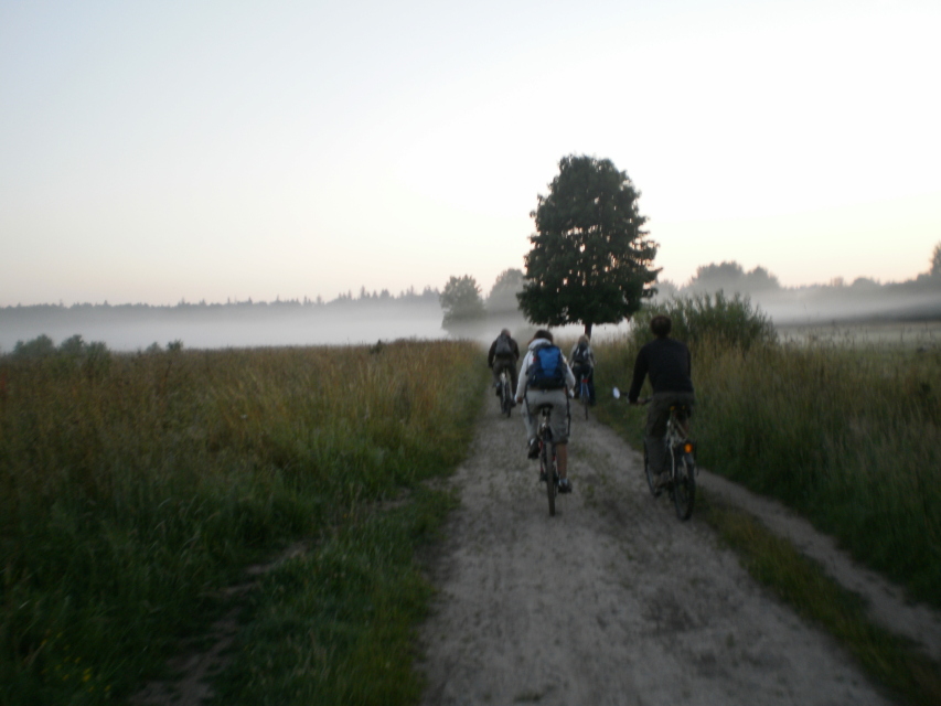 Skaliertes Bild p7110298_frhmorgens_Fahrt_zum_Birdviewing_OSM.jpg 