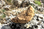Stein mit Quarzkristallen am Wegrand