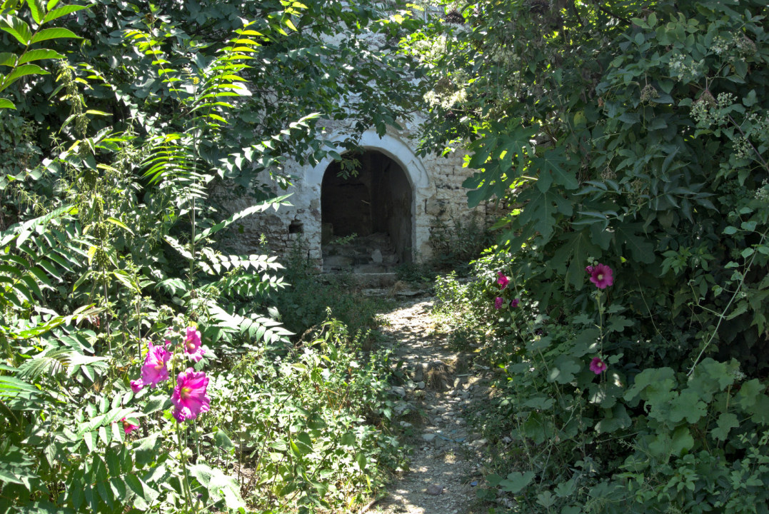 Skaliertes Bild dscRX013153_Gjirokastra-gruener_zuwachsender_Zugang_zu_verfallendem_Steinhaus_ok.jpg 