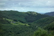 Bild: Haus und Schafweiden umgeben von Wald
