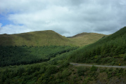 Bild: Tal zwischen Hügeln Pant Gwyn Mynydd-Rhyd Galed, Wald