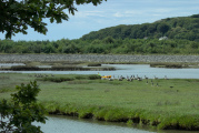 Bild: Mündungsgebiet des Afon Mawddach - Wasservögel und Kanute