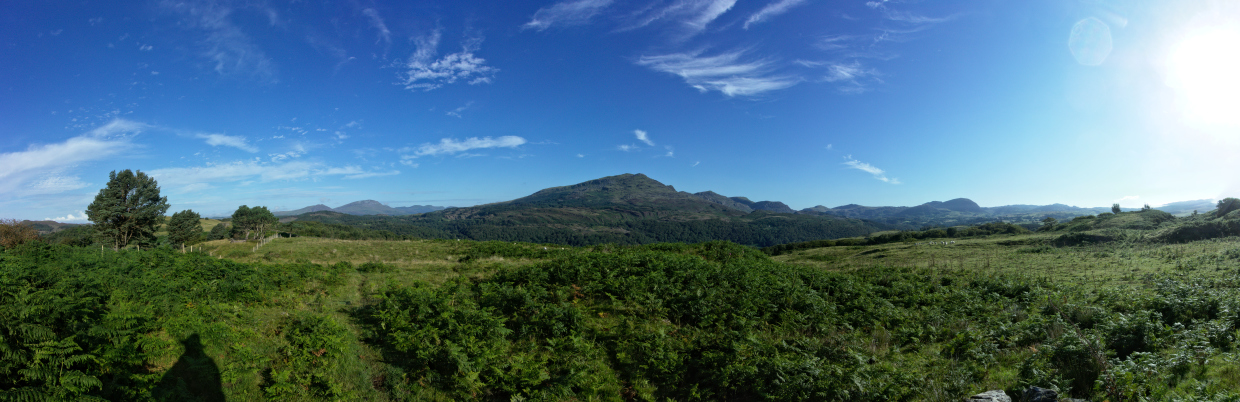 Skaliertes Bild dscRX035080-93_Landschaft_mit_Gras_und_Huegeln_pano.jpg 