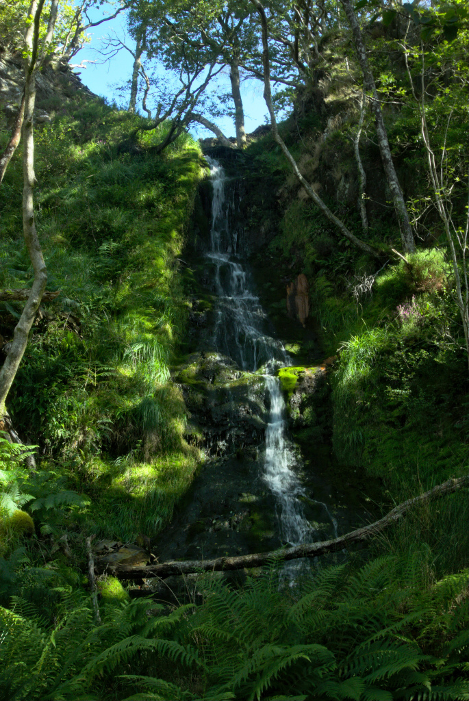 Skaliertes Bild dscRX035141_Wasserfall.jpg 